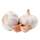 2 Garlic cloves (~ 0.2 oz)