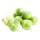 4.2 oz Brussels sprouts