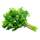 1 twig of Parsley, fresh or frozen (~ ½ tsp)