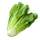 ½ Romaine lettuce (~ 2.1 oz)