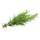 1 twig of Rosemary, fresh (~ 0.1 oz)