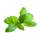 10 Blätter Basilikum, frisch (ca. 3 g)