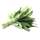 1 leaf of Sage, fresh (~ 0.1 oz)